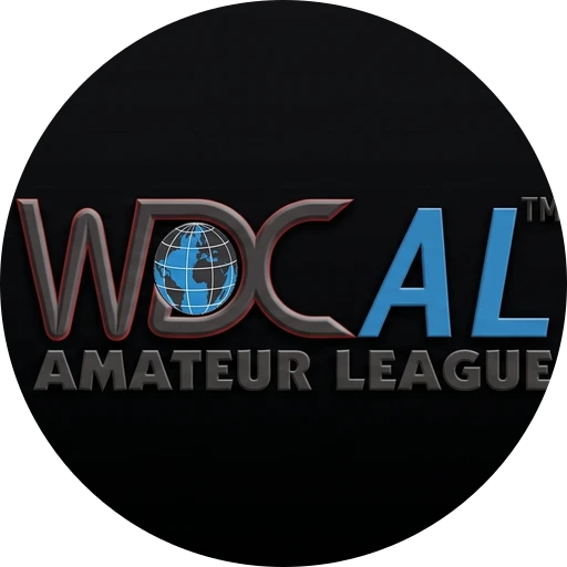 Логотип партнёра World Visual Creators